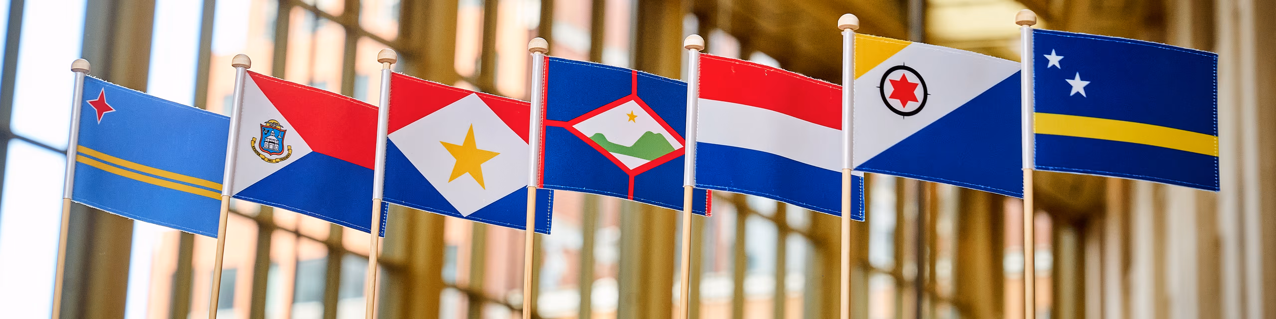 Vlaggen van het Koninkrijk der Nederlanden